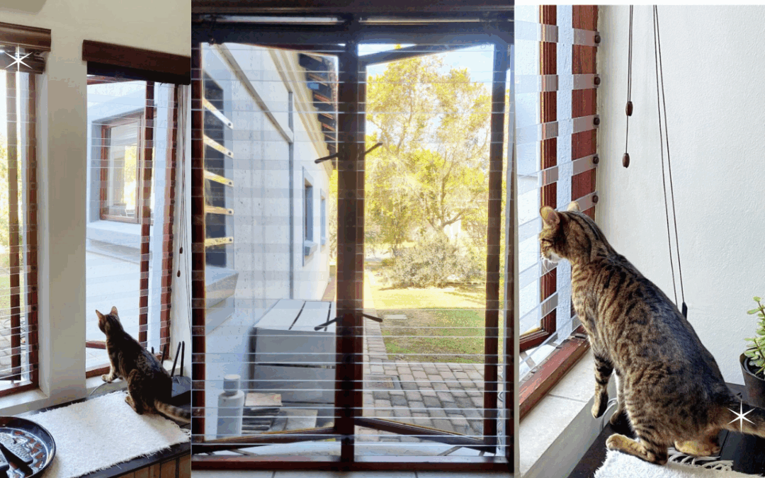 Luxury Clear Burglar Bars | Luxury Livings Pretoria & Johannesburg