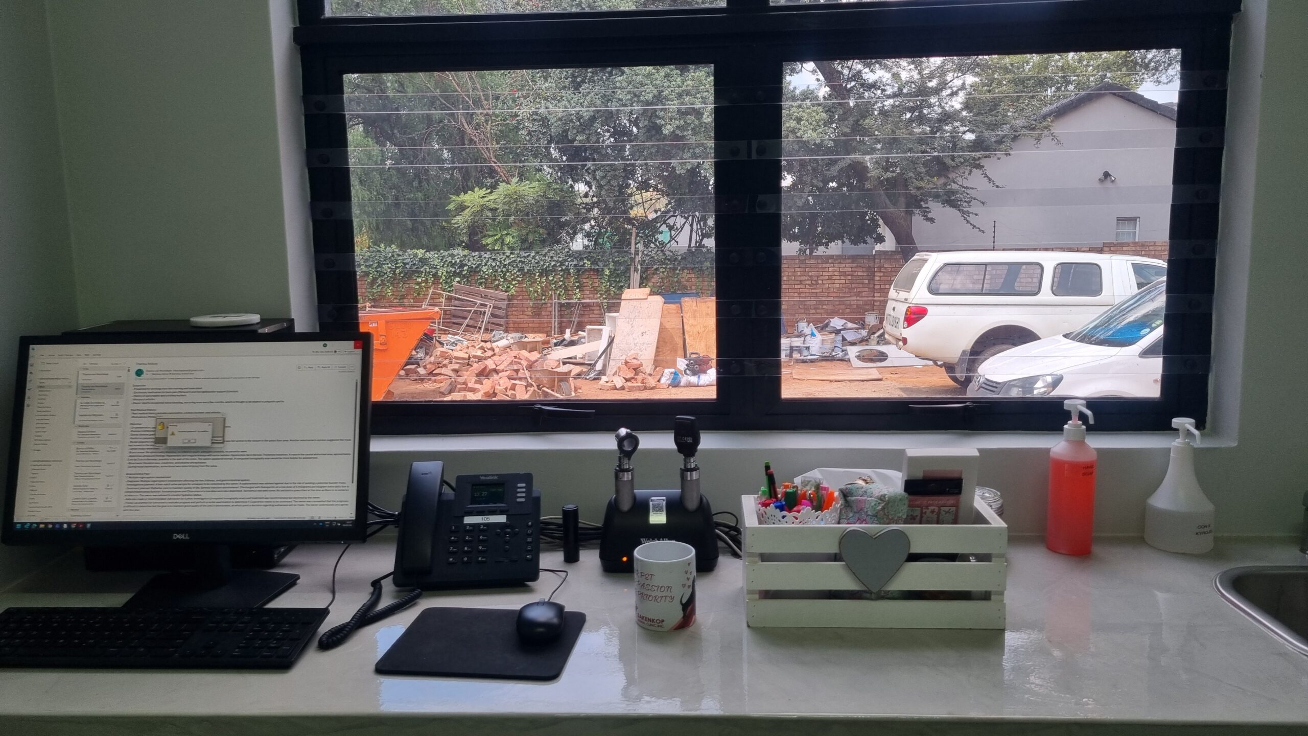 Luxury Livings Cat safety bars Centurion