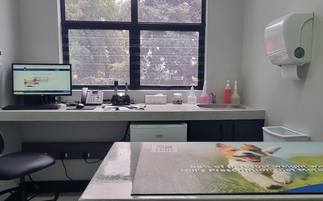 Clear Burglar Bars for Cat Safety in Centurion & Pretoria | Luxury Livings Trusted by Bakenkop Animal Clinic